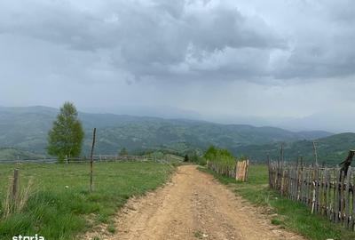 Teren de 20340 mp, în Crizbav - 4