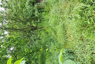 Casă cu 3 camere cu Teren 260 Mp în Onești - 4