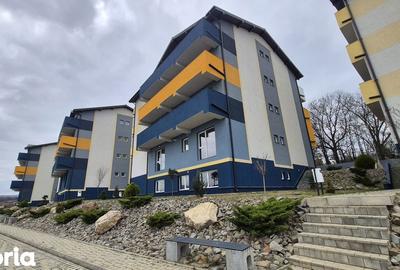Garsonieră în Bucium - 5