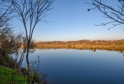 Casă individuală cu 3 camere cu Canalizare în Buftea - 5