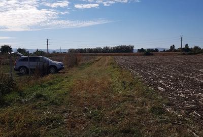 Teren agricol intravilan de 1597 mp, în Calea Bârladului