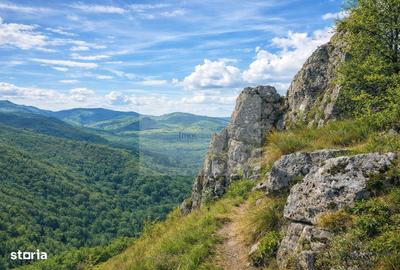 Casă cu 8 camere cu Teren 4851 Mp în Iara - 1