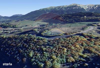 Spațiu comercial, în Fundata - 3