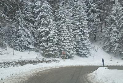 Teren Construcții intravilan de 900 mp, în Predeal - 7