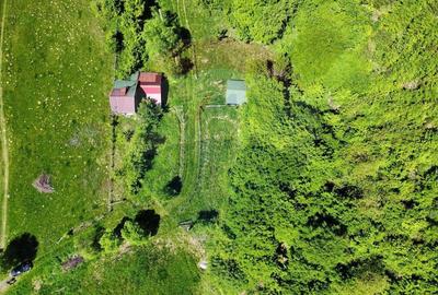 Comision 0%! Proprietate in natura, priveliste superba, S... - 7