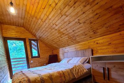 Vand Cabana cu ciubar (Fenes jud Alba) - 3