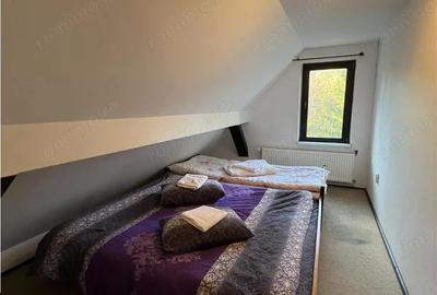 Spațiu comercial, în Paltin - 10