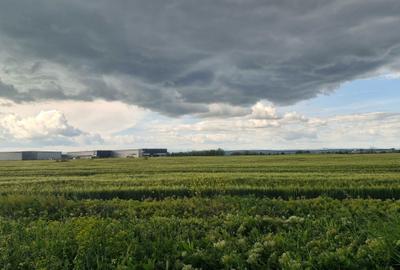 Teren de 5000 mp, în Vest - 1