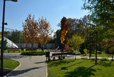 Villa with  7 rooms/ Heated Pool/ Pipera - 5