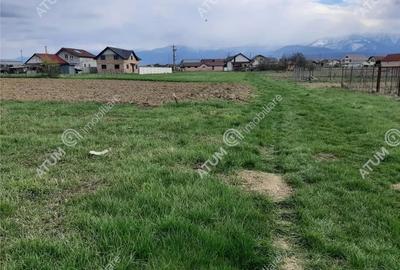 Teren de 1400 mp, în Avrig - 5