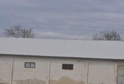 Spațiu industrial, în Ceamurlia de Jos - 10