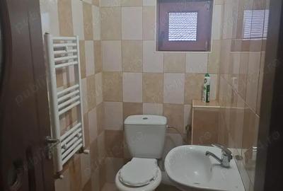 Casa Jiblea Veche - Calimanesti - 9