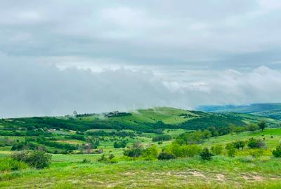 Teren agricol extravilan de 3600 mp, în Jugureni - 3