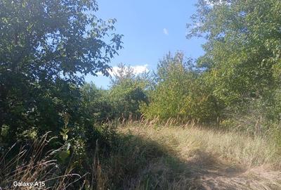 RECO Teren intravilan Oradea, sub 22 euro/mp - 1