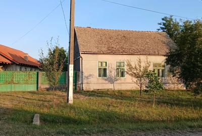 Casa cu teren 2877.mp la 27 km de Timi?oara - 4