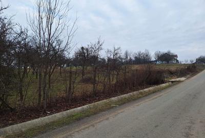 Spațiu comercial, în Cicârlău - 3