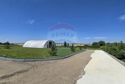 Spațiu comercial, de 1,400 mp, în Potigrafu - 6