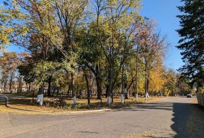 Teren 19.470 mp, dezvoltare imobiliara, Green City - 1 Decembrie, Ilfov - 12