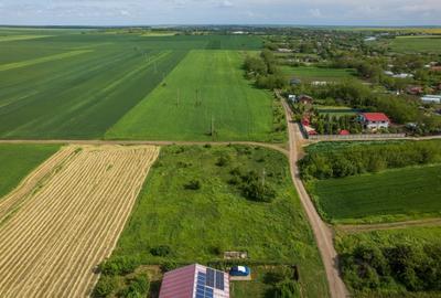 FRUMUSANI - POSTAVARI, TEREN 1500 MP, FRONT 30 M ! - 26