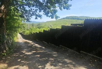 Casă cu 3 camere în Golești - 3