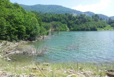 Teren de 73000 mp, în Siriu - 4