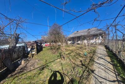 Casă cu 5 camere cu Teren 6817 Mp în Zănești - 6