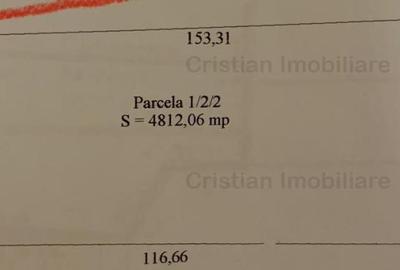 Teren intravilan de 5000 mp, în Apollo - 2