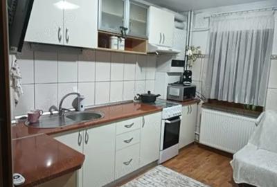 Inchiriere apartament 2 camere Rovine - 4