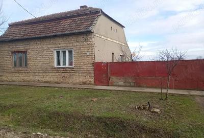 Casă cu 4 camere cu Teren 1600 Mp în Lenauheim - 3