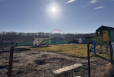 Teren intravilan de vanzare 1000 mp Baneasa sector 1 - 14