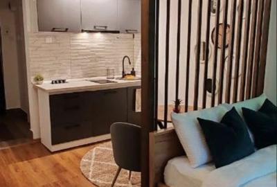 Garsonieră în Ultracentral - 4