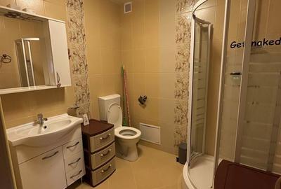 Apartament cu 2 camere semidecomandat în Dosu Bricii - 3