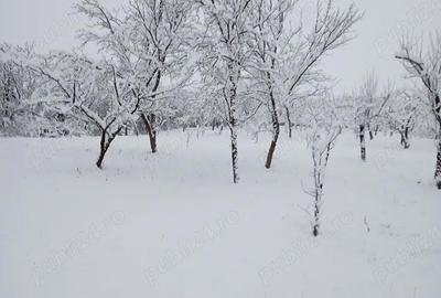 Casă cu Teren 1900 Mp în Nadășu - 7