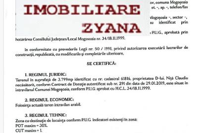 Teren construcție, în Mogoșoaia - 10