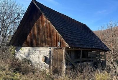 Domeniu de vinzare - 1