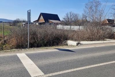 Teren de 7000 mp, în Oșorhei - 2