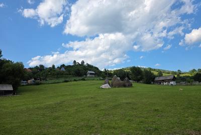 Teren intravilan parcelabil 6312 mp - minim 1000 mp - Rucar, Arge? - 1