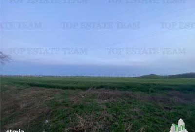 Teren de 15000 mp, în Central - 5