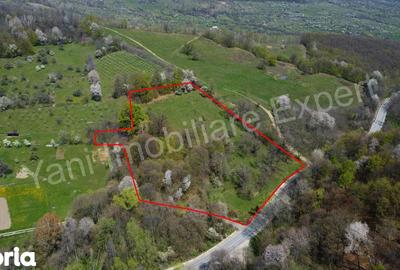 Teren de 15856 mp, în Valea Iașului - 4