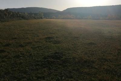 Teren de 3200 mp, în Bănești - 3