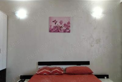 De inchiriat in ?iglina 1 bloc A1 apartament 1camera recent renovat - 10