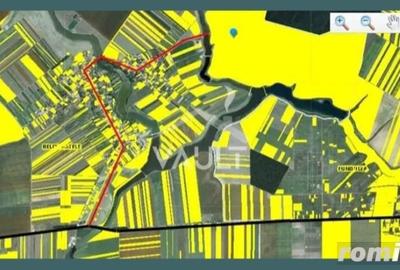 Teren de 27500 mp, în Belciugatele - 5