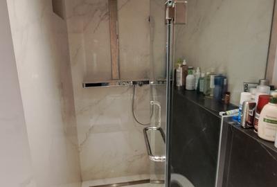 Apartament cu 4 camere semidecomandat, mobilat în Herăstrău - 46