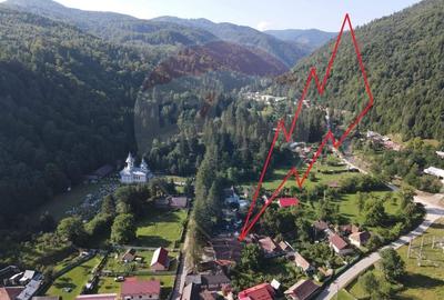 Hotel/Pensiune, 530 mp în Ciobănuș