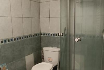 Inchiriere apartament3cam,74mp,proaspat renovat,intrare separat,Bucium - 8