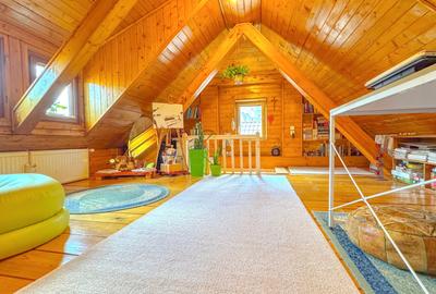 Casa renovata, semineu si terasa privata, Str.Nicopole - 14