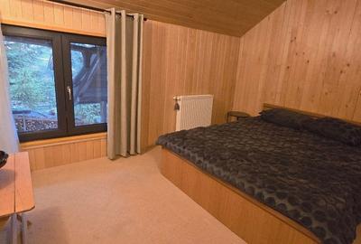 Casă individuală cu 3 camere cu Teren 400 Mp în Bran - 9