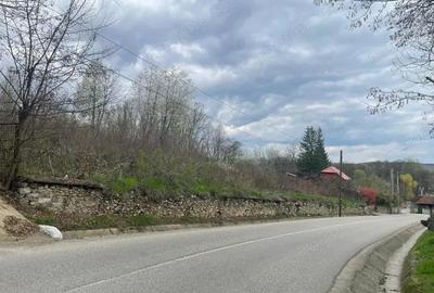 Vanzare teren intravilan - Runcu - oportunitate intr-o zona turistica deosebita - 7