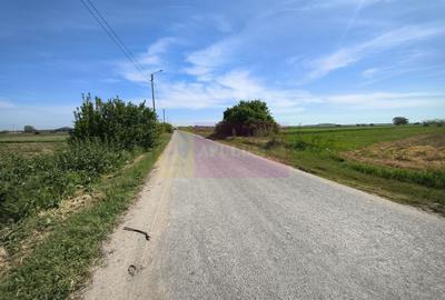 Teren Construcții intravilan de 4770 mp, în Dărăști-Ilfov - 7