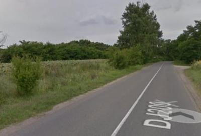Vanzare teren Moara Vlasiei - Padurea Branzeasca, DJ200
